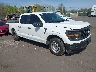 1FTEW1KP4RK****** Salvage and Wrecked 2024 Ford F-150 in Scranton