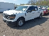 1FTEW1KP4RK****** Used and Repairable 2024 Ford F-150 in Scranton