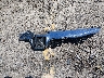 19XFA16839E****** Wrecked 2009 Honda Civic in Kentucky State