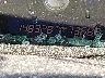19XFA16839E****** Salvage 2009 Honda Civic in Louisville North