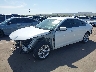 1HGCY1F22PA****** Used and Repairable 2023 Honda Accord in Phoenix