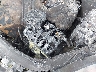 KM8NU4CC9CU****** Wrecked 2012 Hyundai Veracruz in Oklahoma State