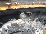 KNDJN2A26****** Salvage 2017 Kia Soul in Honolulu