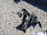 JTHBW1GG5D2****** Destrozados 2013 Lexus ES en Estado de Missouri