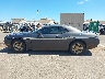 2C3CDYAG8DH****** Repairable 2013 Dodge Challenger in Hawaii State
