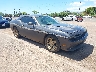2C3CDYAG8DH****** Salvage and Wrecked 2013 Dodge Challenger in IAA Honolulu