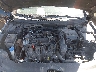 5NPE34AF1HH****** Repairable 2017 Hyundai Sonata in Cleveland