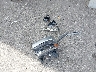 3GCUKSEJ3GG****** Wrecked 2016 Chevrolet Silverado 1500 in Nebraska State