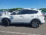 JTMZFREV6GJ****** Repairable 2016 Toyota RAV4 in North Carolina State