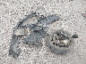 1G1BC5SM5H7****** Wrecked 2017 Chevrolet Cruze in Kansas State