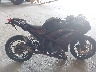 JKAEX8A10DD****** Salvamento 2013 Kawasaki Ninja 300 en Estado de Florida