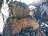 TRUDD38J881****** Wrecked 2008 Audi TT in Providence