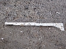 SAJAJ4FX8LC****** Wrecked 2020 Jaguar XE in Mississippi State