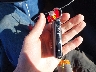 3MZBPABL5NM****** Salvage 2022 Mazda 3 in South Dakota State