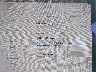 7SAYGAEEXNF****** Salvage 2022 Tesla Model Y in Electric Vehicle Auctions