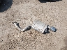 5NMP1DGL6RH****** Wrecked 2024 Hyundai Santa Fe in Maryland State