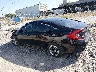 19XFC2F53GE****** Salvage 2016 Honda Civic