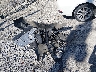 19XFC2F53GE****** Wrecked 2016 Honda Civic in Tennessee State