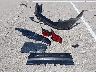 1N4BL4DV2SN****** Destrozados 2025 Nissan Altima en Estado de Indiana