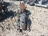 1HD1FFM16CB****** Salvage and Repairable 2012 Harley-Davidson FLHTC in North Carolina State