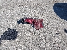 JF2GPAVC3D2****** Destrozados 2013 Subaru XV Сrosstrek en Estado de Wisconsin