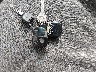 JF1SF63581H****** Repairable 2001 Subaru Forester in Denver East