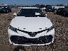 4T1B11HK5KU****** Destrozados 2019 Toyota Camry en Estado de Carolina del Sur