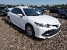 4T1B11HK5KU****** Salvamento y Destrozados 2019 Toyota Camry en Lexington