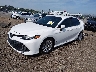 4T1B11HK5KU****** Usados y Reparables 2019 Toyota Camry en Lexington
