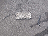 KM8J33A4XKU****** Wrecked 2019 Hyundai Tucson in Mississippi State