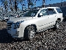 1GYS4BKJ9GR****** Usados y Reparables 2016 Cadillac Escalade en Central New Jersey