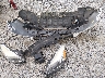 1FMCU0JX2EU****** Wrecked 2014 Ford Escape in Kentucky State