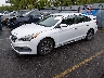 5NPE34AF5GH****** Used and Repairable 2016 Hyundai Sonata in Salt Lake City