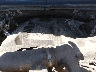 1FTEW1EG5JK****** Repairable 2018 Ford F-150 in Burlington