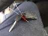 3GCUKREC0EG****** Salvamento 2014 Chevrolet Silverado 1500 en Estado de Carolina del Sur