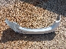 JM1GJ1V65F1****** Wrecked 2015 Mazda 6 in Mississippi State