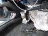 1HGCV1F34NA****** Salvage 2022 Honda Accord in New York State