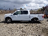 1FTEW1EP0LK****** Reparables 2020 Ford F-150 en Estado de Nevada