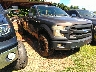 1FTNF1EG8GK****** Salvamento y Destrozados 2016 Ford F-150 en Honolulu