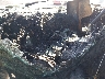 2B6LB31Z5XK****** Salvage 1999 Dodge Ram Van in Phoenix