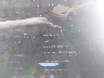 7SAYGDED4PF****** Repairable 2023 Tesla Model Y in California State