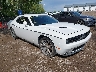 2C3CDZBG6FH****** Salvamento y Destrozados 2015 Dodge Challenger en Indianapolis