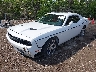 2C3CDZBG6FH****** Usados y Reparables 2015 Dodge Challenger en Indianapolis