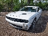 2C3CDZBG6FH****** Salvamento y Reparables 2015 Dodge Challenger en Estado de Indiana