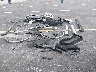 5LMYJ8XYXMN****** Wrecked 2021 Lincoln Aviator in Florida State