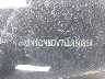 3N1CN8DV7LL****** Used 2020 Nissan Versa in Jacksonville
