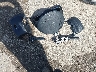 3KPFK4A75JE****** Wrecked 2018 Kia Forte in Kansas State