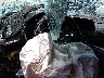 KMHL64JA8PA****** Salvage 2023 Hyundai Sonata in Tucson