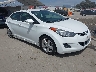 5NPDH4AE7DH****** Salvage and Wrecked 2013 Hyundai Elantra in North Hollywood