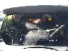 KL77LHEP6SC****** Salvage 2025 Chevrolet Trax in Sayreville